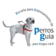 Logo2