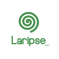 Laripse
