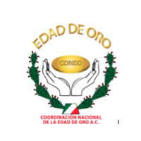 Captura%20de%20pantalla%202015 12 04%20a%20la%28s%29%2011.46.01