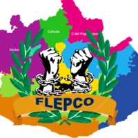 Logo%20organizacion