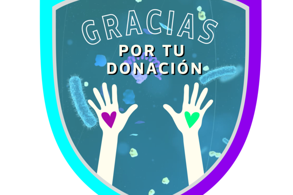 Badget nivelbajo2 mesa%20de%20trabajo%201