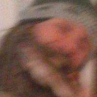 Cam01022