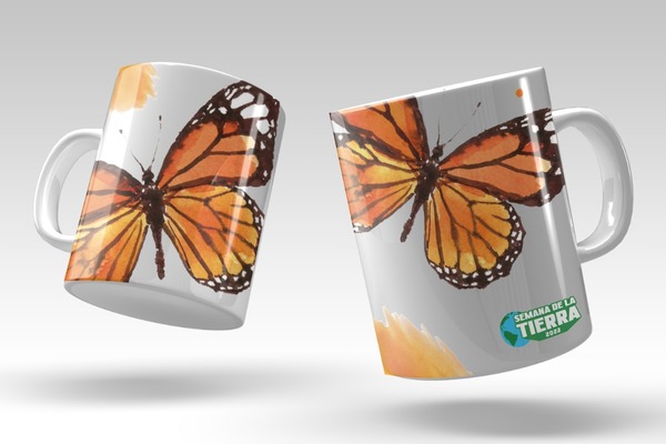 Taza